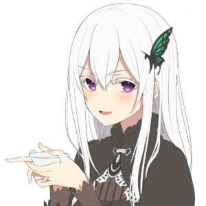 rezero-Echidna